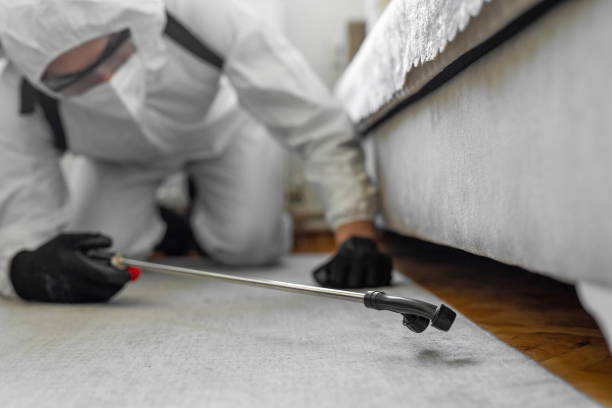 Professional Bed Bug Control technician working in Mount Vernon, IN